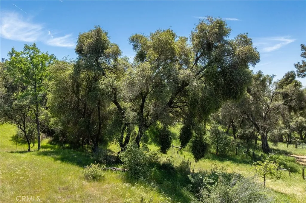 Additional image 146 of 4716 Leonard Rd, Mariposa, CA 95338
