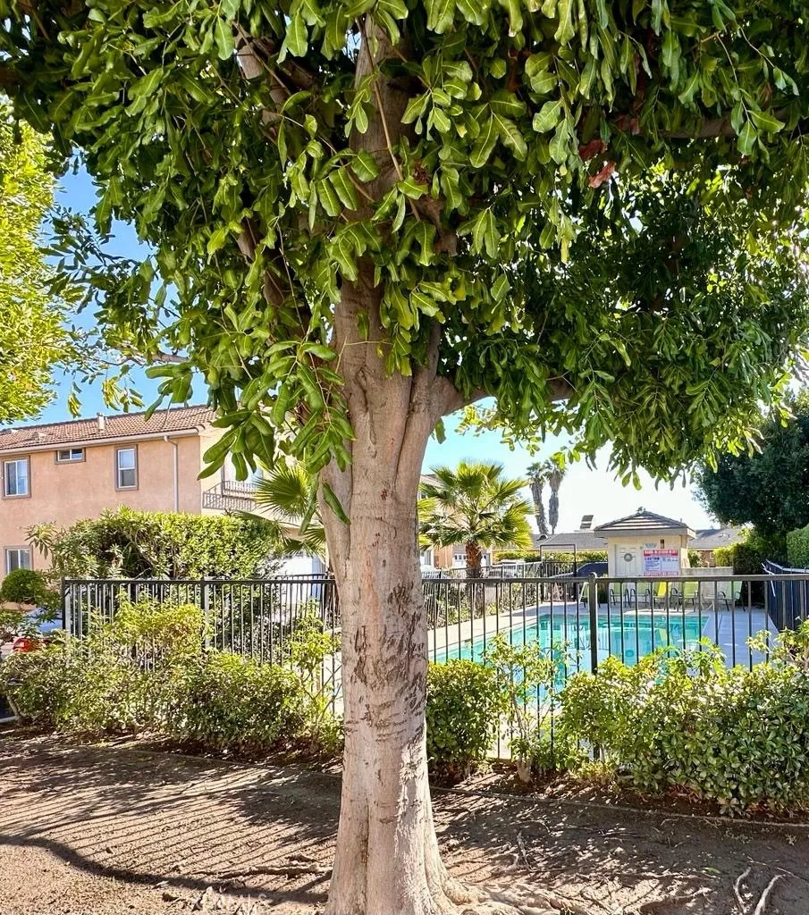 Additional image 57 of 9315 Burnet Avenue Unit 113, North Hills, CA 91343
