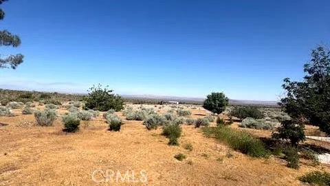 Additional image 39 of 21123 Avenue Fort Tejon, Llano, CA 93544