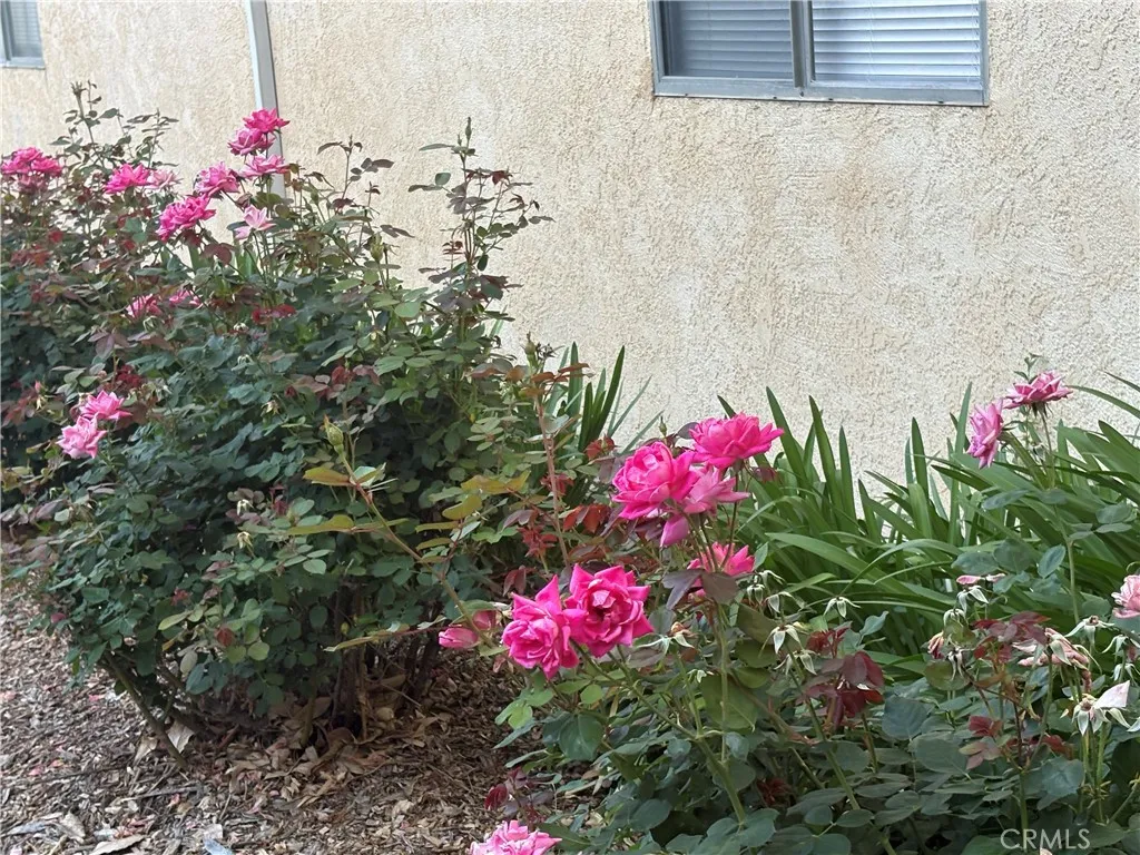 8105 Canby Unit 4, Reseda, CA 91335