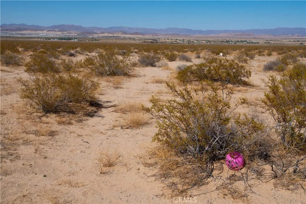 Additional image 18 of Barnes, 29 Palms, CA 92277