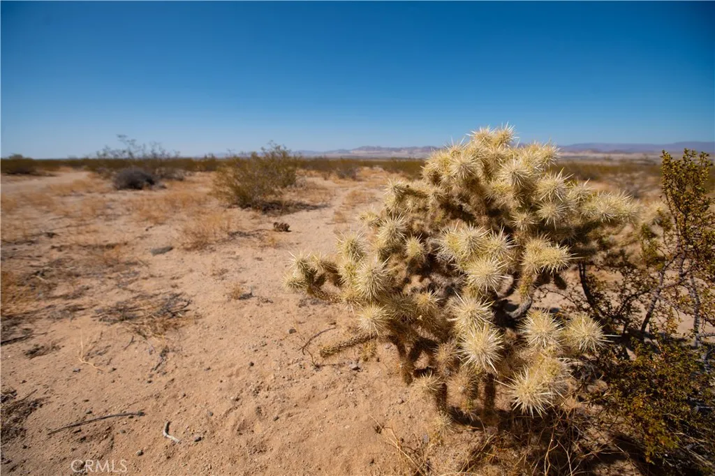 Additional image 21 of Barnes, 29 Palms, CA 92277