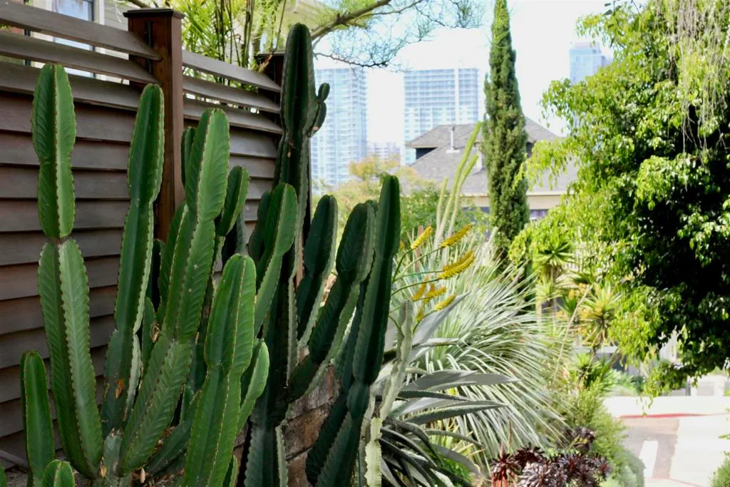 Additional image 28 of 1079 21st Street, San Diego, CA 92102