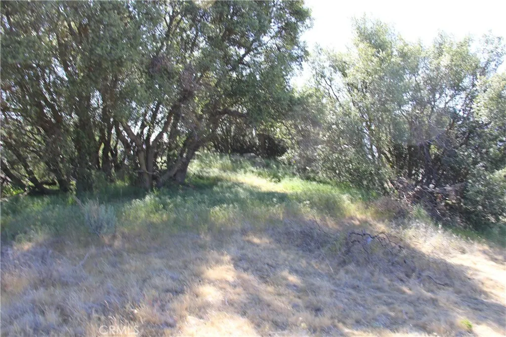 Additional image 41 of Skyline Drive, Tehachapi, CA 93561