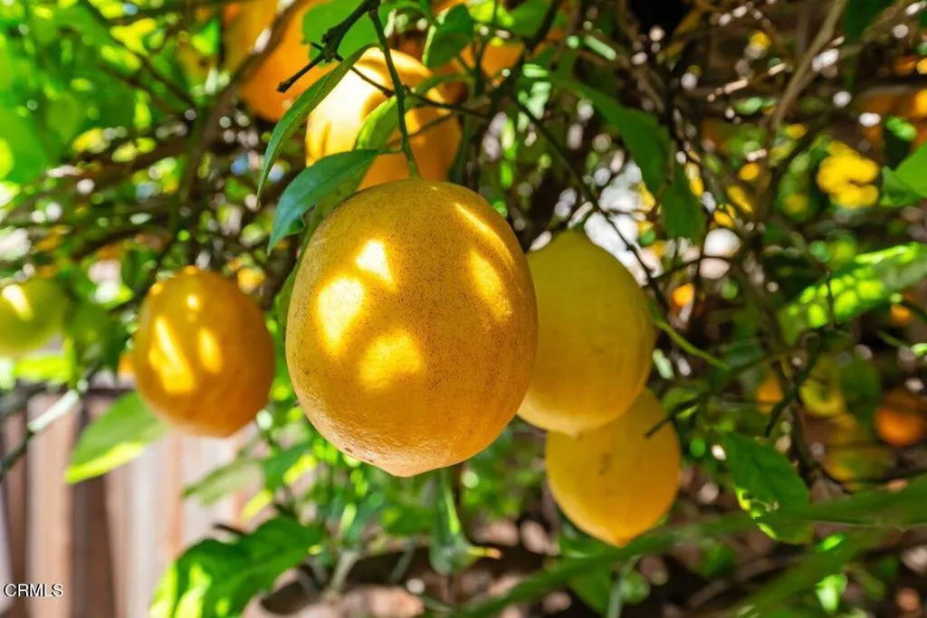 Additional image 51 of 15124 Campus Park Drive Unit C, Moorpark, CA 93021