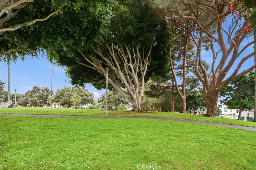 Additional image 50 of 2311 4th Street Unit 106, Santa Monica, CA 90405