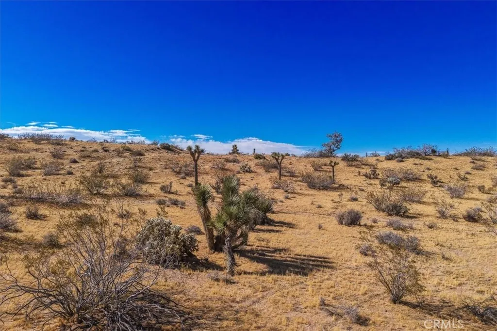 Additional image 15 of 56666 Lowe Avenue, Yucca Valley, CA 92284