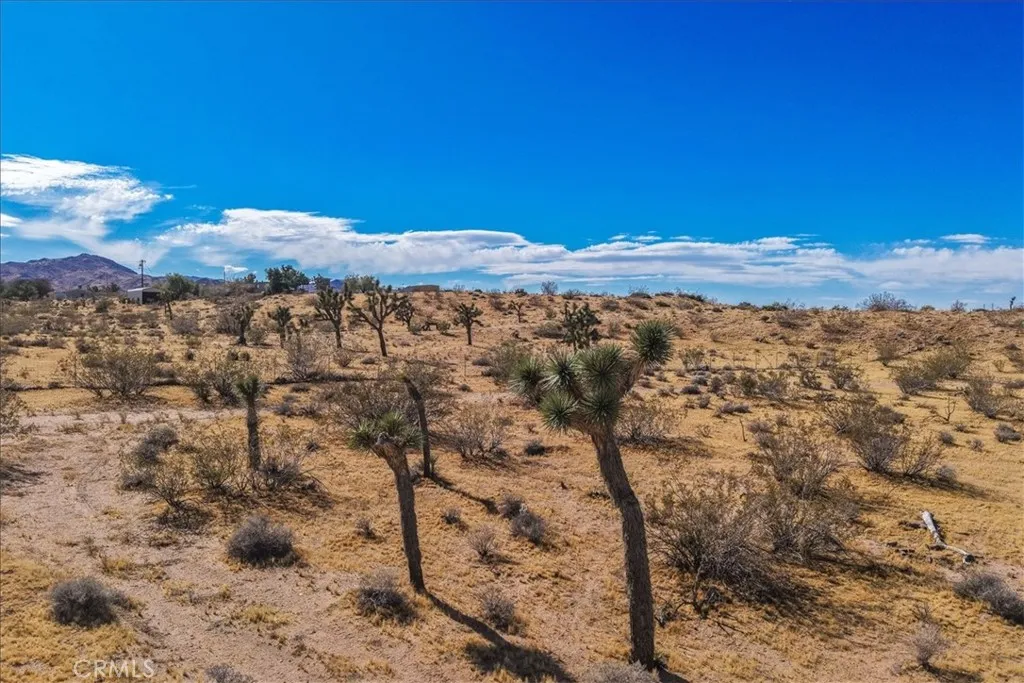 Additional image 4 of 56666 Lowe Avenue, Yucca Valley, CA 92284