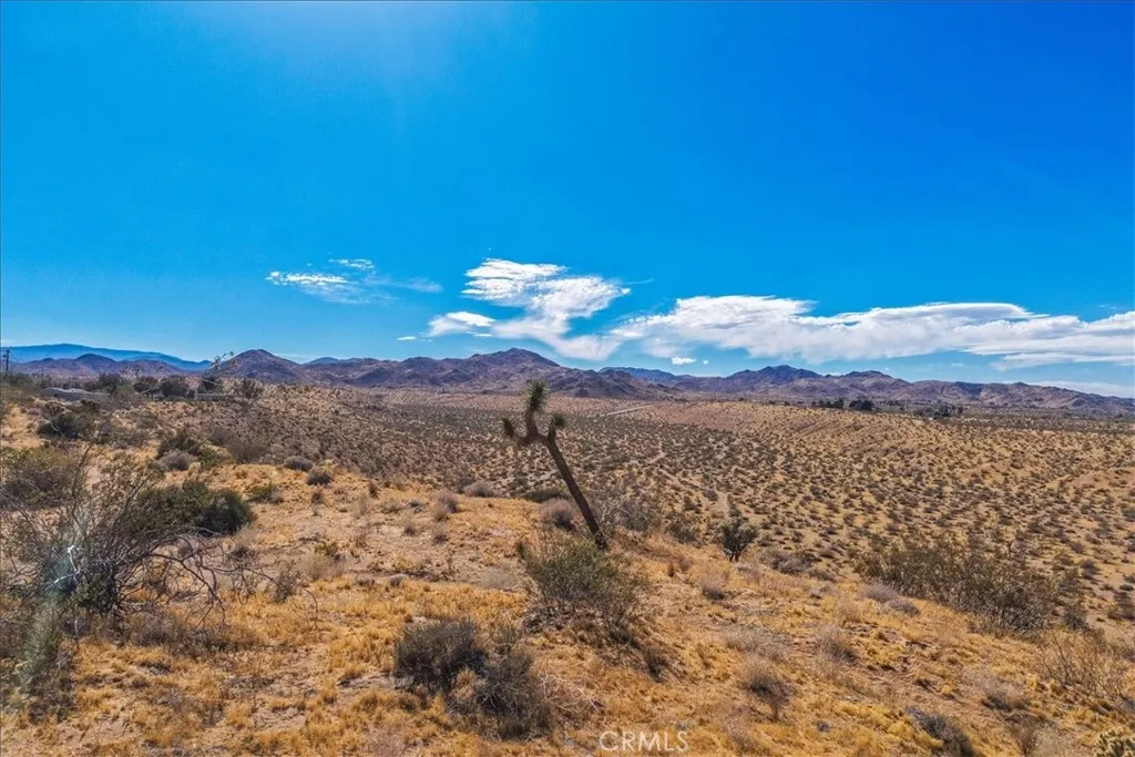 Additional image 18 of 56666 Lowe Avenue, Yucca Valley, CA 92284