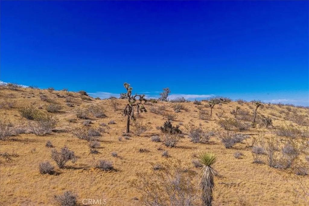 Additional image 7 of 56666 Lowe Avenue, Yucca Valley, CA 92284
