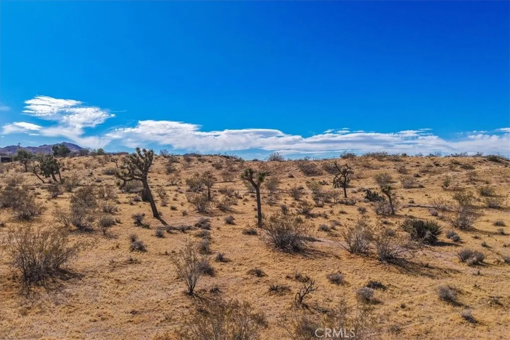 Additional image 53 of 56666 Lowe Avenue, Yucca Valley, CA 92284