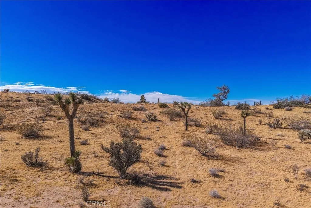 Additional image 55 of 56666 Lowe Avenue, Yucca Valley, CA 92284