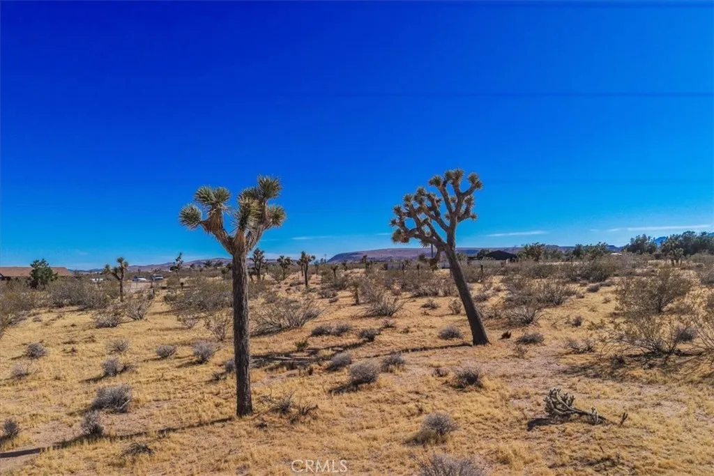 Additional image 11 of 56666 Lowe Avenue, Yucca Valley, CA 92284