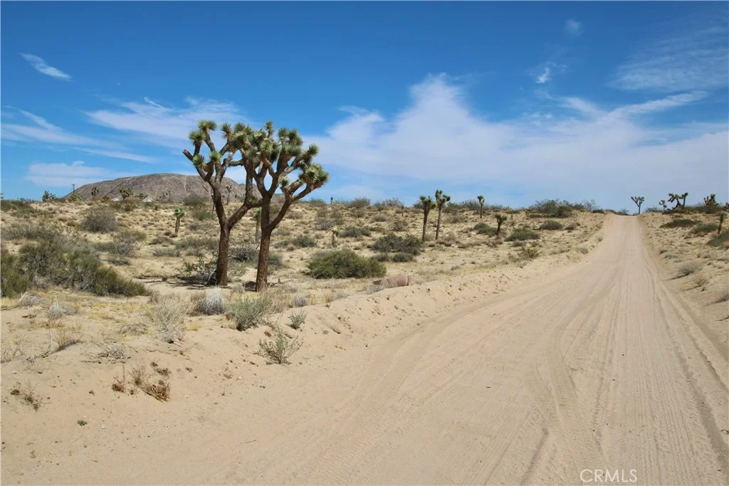Pine Street, Landers, CA 92285 photo 3