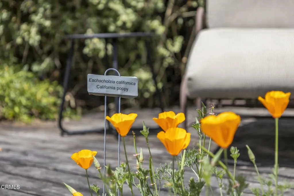 Additional image 141 of 909 Daly Road, Ojai, CA 93023