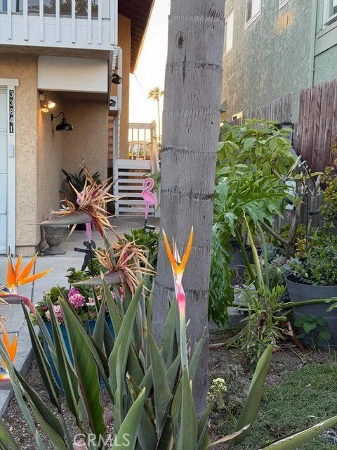 Additional image 60 of 33841 Diana Drive Unit B, Dana Point, CA 92629