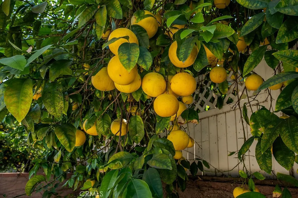 340 E Old Mill Rd, Corona, CA 92879