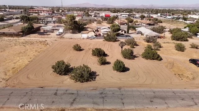 Olive, Hesperia, CA 92345 photo 3