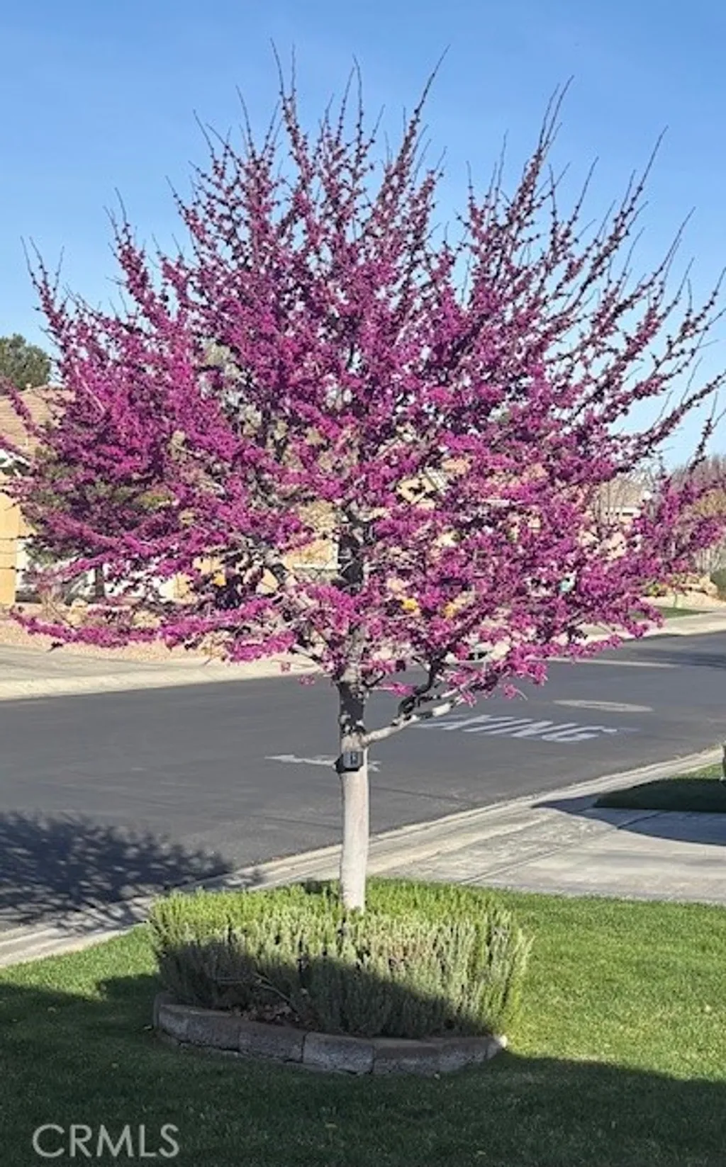 Additional image 44 of 10812 Katepwa Street, Apple Valley, CA 92308