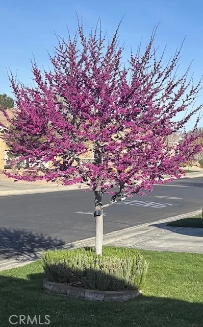 Additional image 89 of 10812 Katepwa Street, Apple Valley, CA 92308