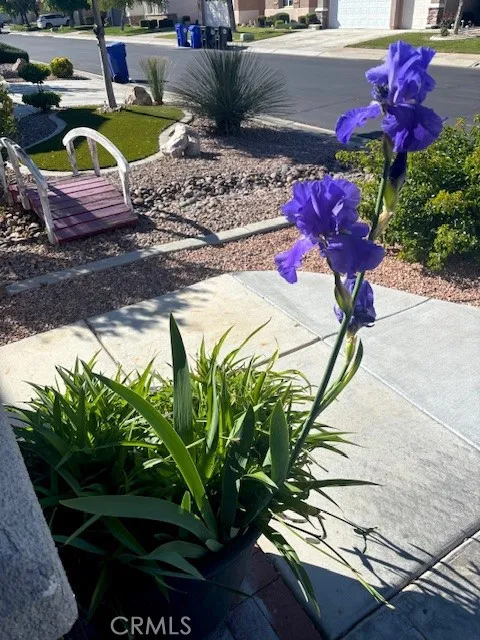 Additional image 88 of 10812 Katepwa Street, Apple Valley, CA 92308