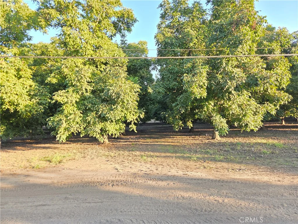 24011 Bray Avenue, Red Bluff, CA 96080