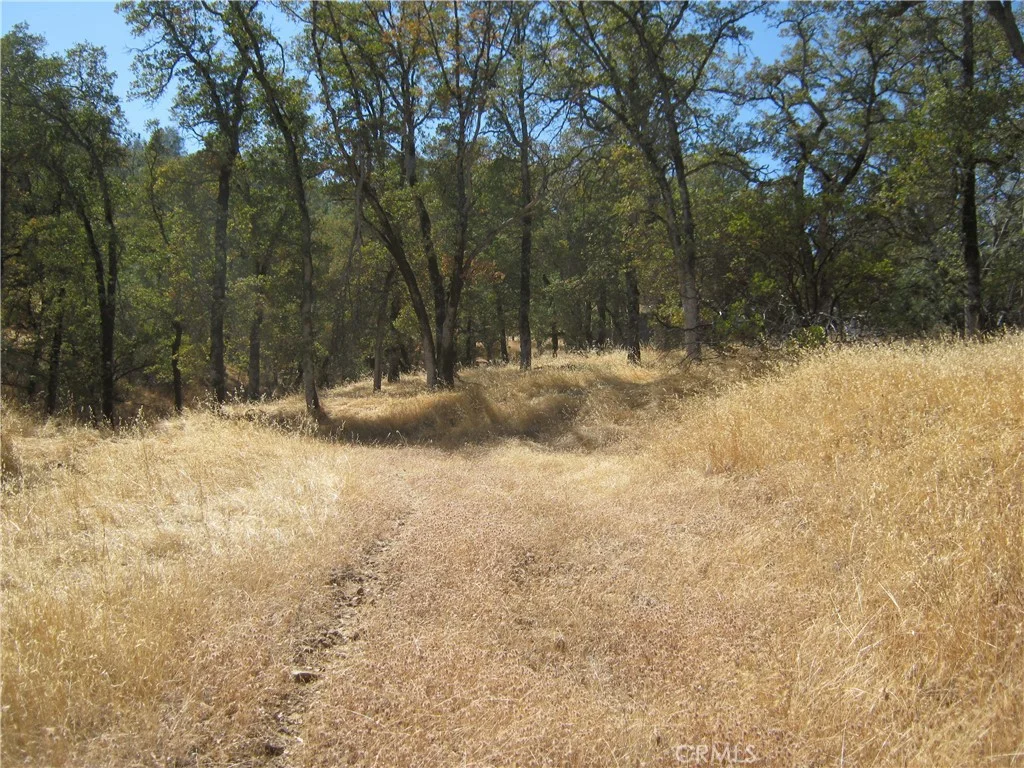15609 Joseph Trl, Lower Lake, CA 95457