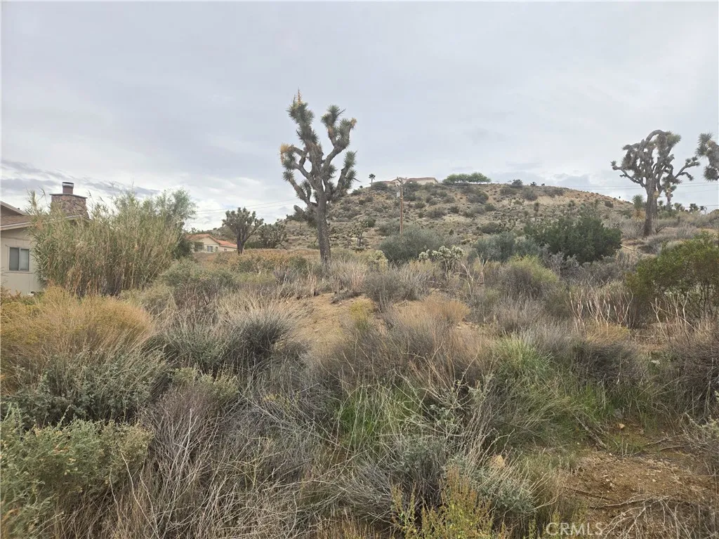 Property image for 54777 Twentynine Palms Highway, Yucca Valley, CA 92284