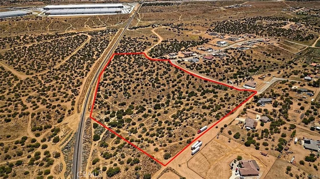Verbena, Oak Hills, CA 92344