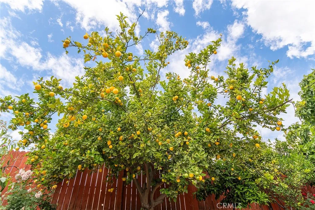 Additional image 141 of 1330 Turquoise Dr, Corona, CA 92882