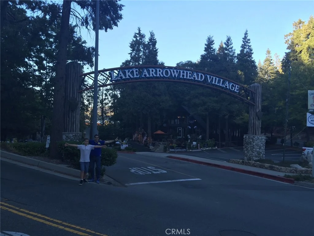 29776 Hook Creek Rd, Cedar Glen, CA 92321