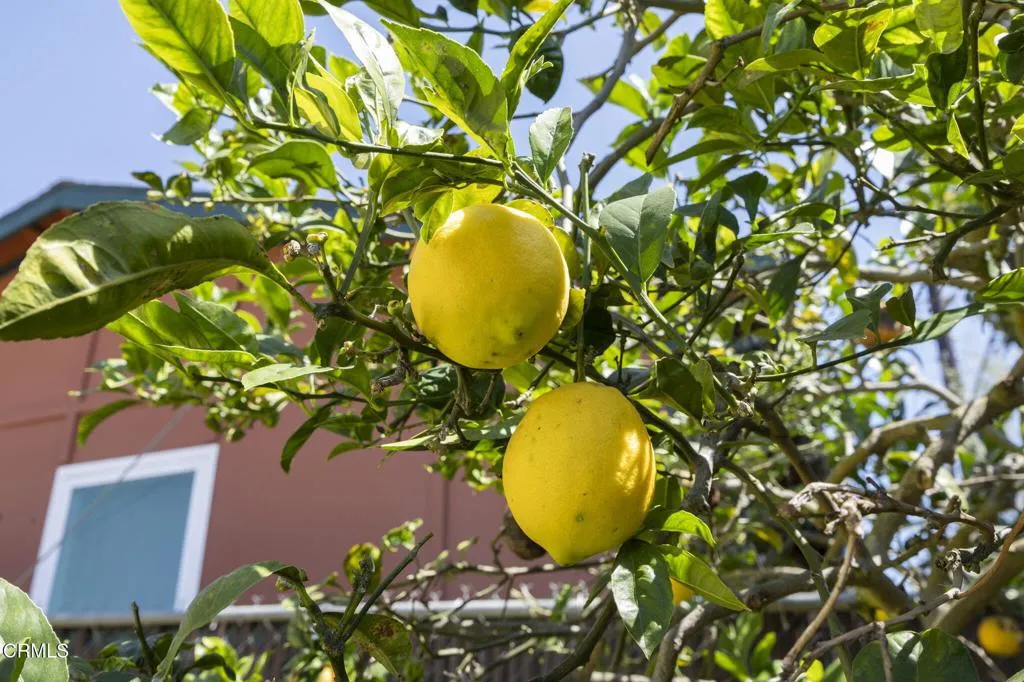 Additional image 58 of 3662 Loma Vista Road, Ventura, CA 93003