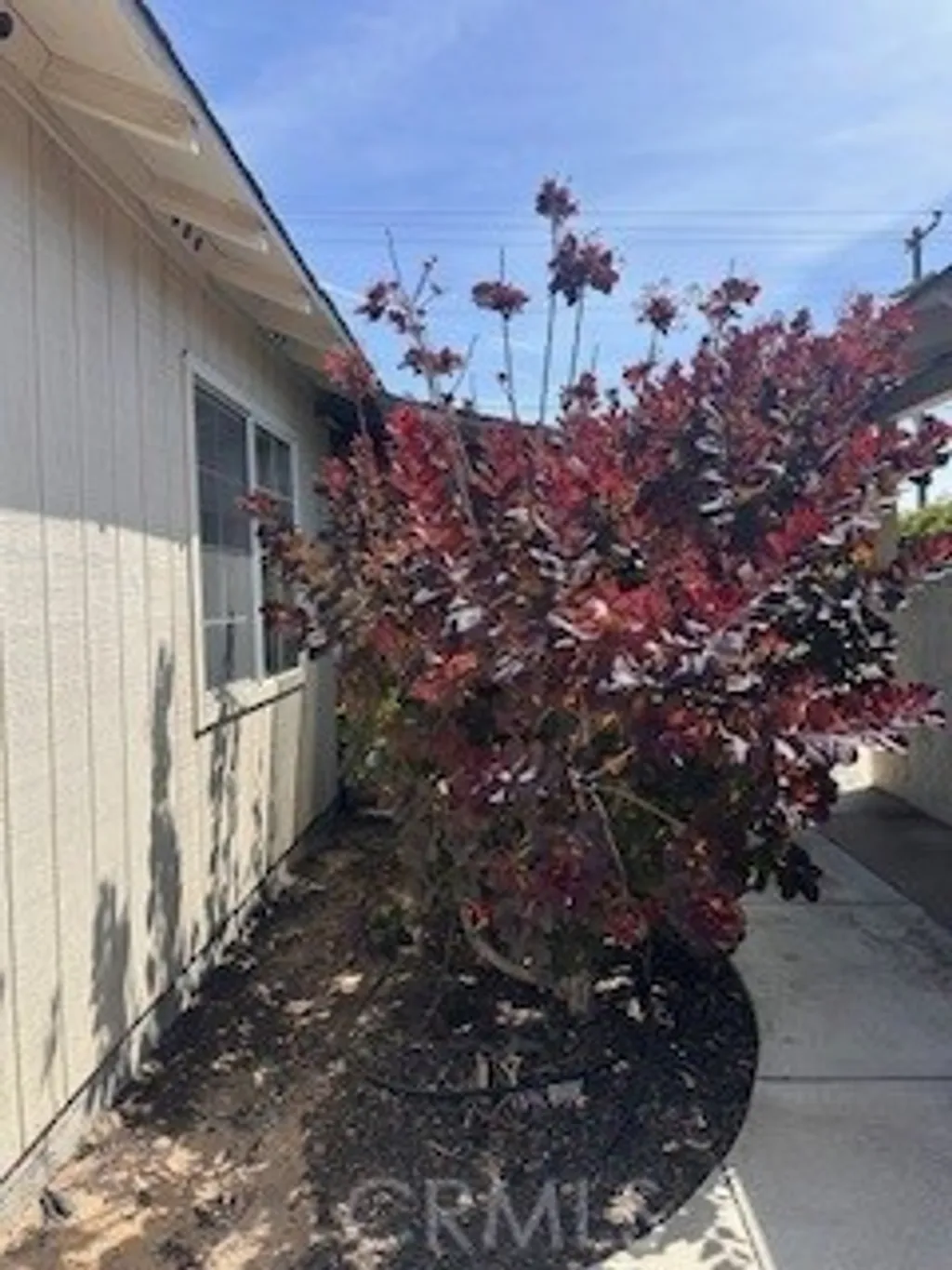 Additional image 37 of 785 Miles Ave, Santa Maria, CA 93455