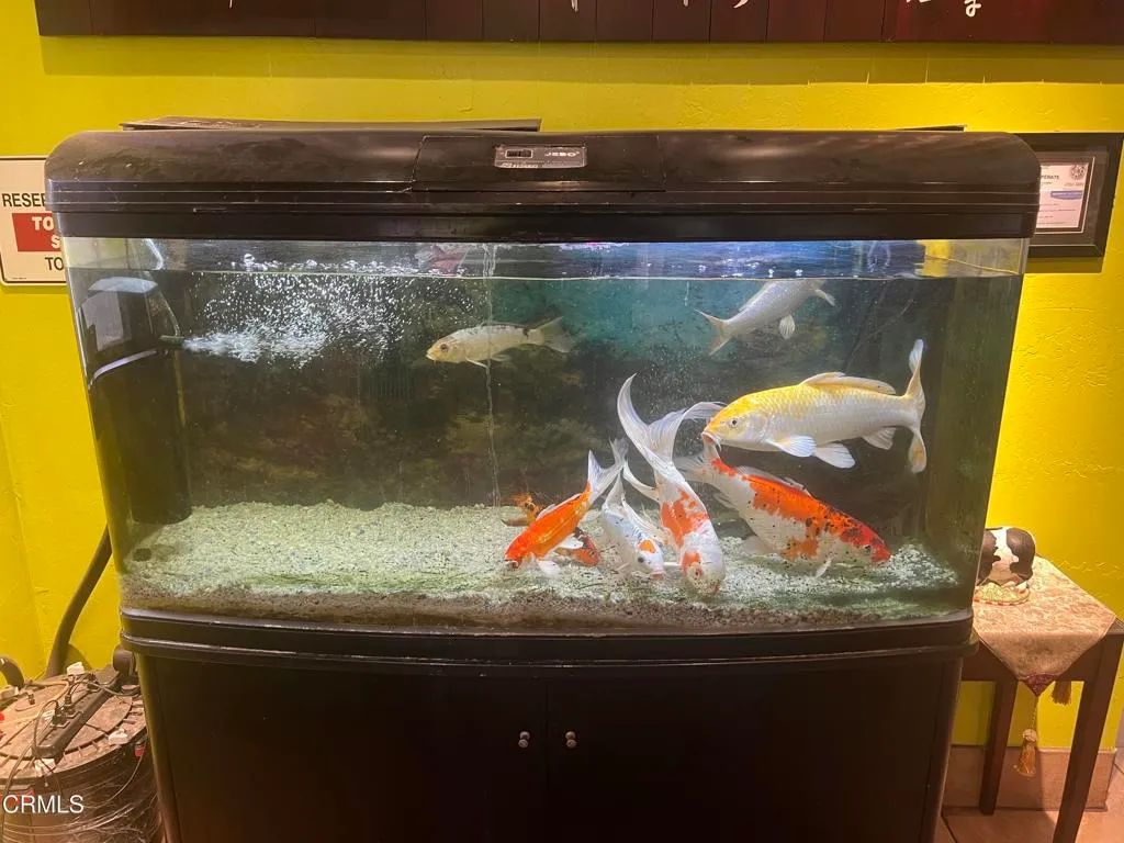 Additional image 41 of 1621 N Oxnard Boulevard, Oxnard, CA 93030