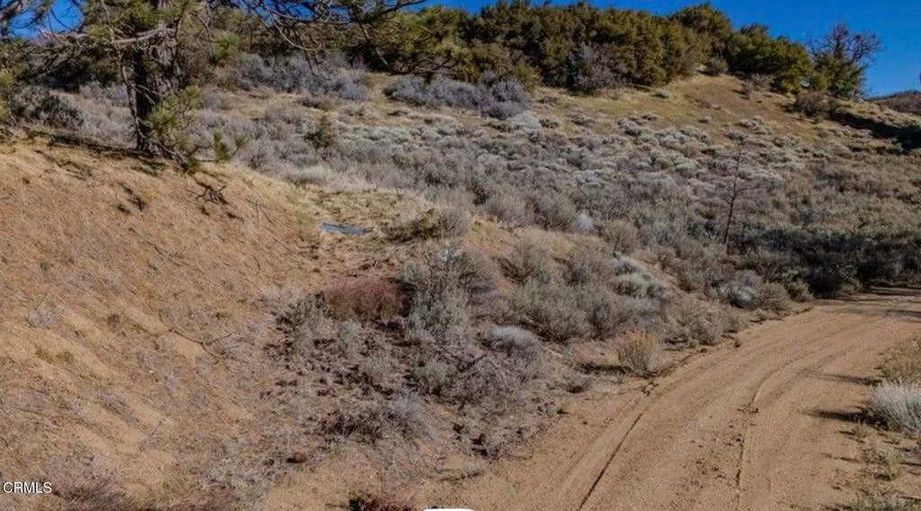 23181 Constance Way, Tehachapi, CA 93561 photo 3