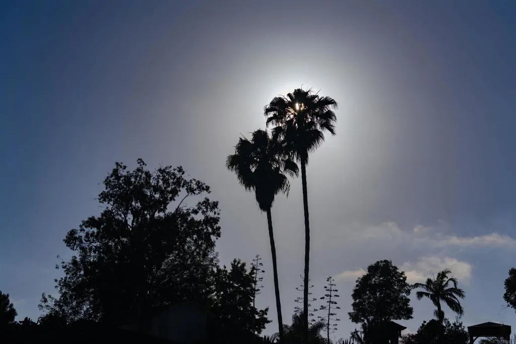 Additional image 94 of 3876 Mount Albertine Avenue, San Diego, CA 92111