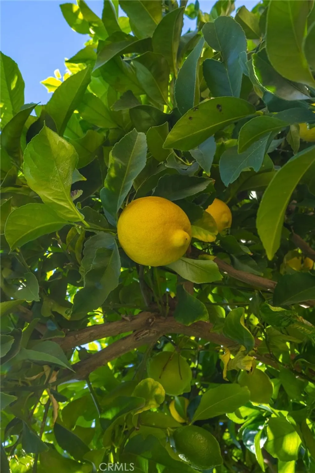 Additional image 42 of 36108 Lipizzan Lane, Wildomar, CA 92595