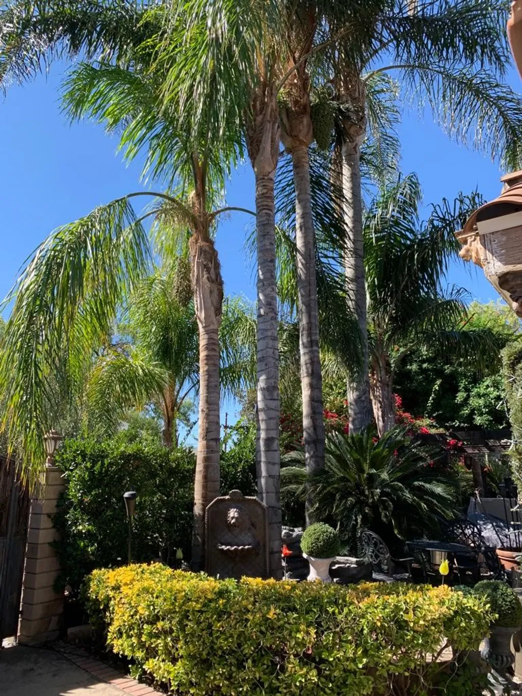 Additional image 56 of 17419 Cohasset St, Lake Balboa, CA 91406