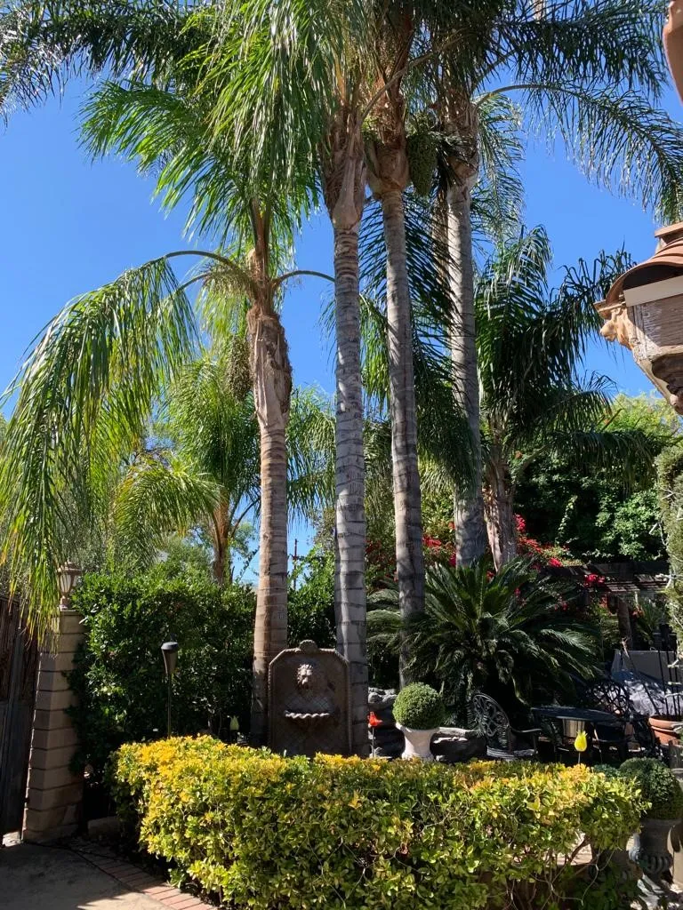 Additional image 120 of 17419 Cohasset St, Lake Balboa, CA 91406