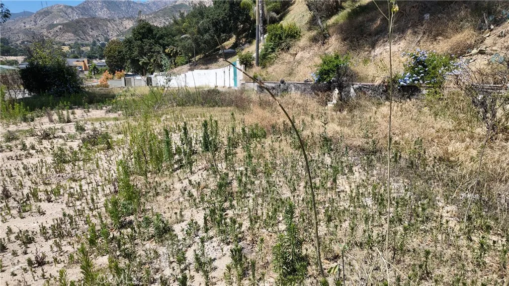 Additional image 18 of 1369 E Loma Alta Dr, Altadena, CA 91001