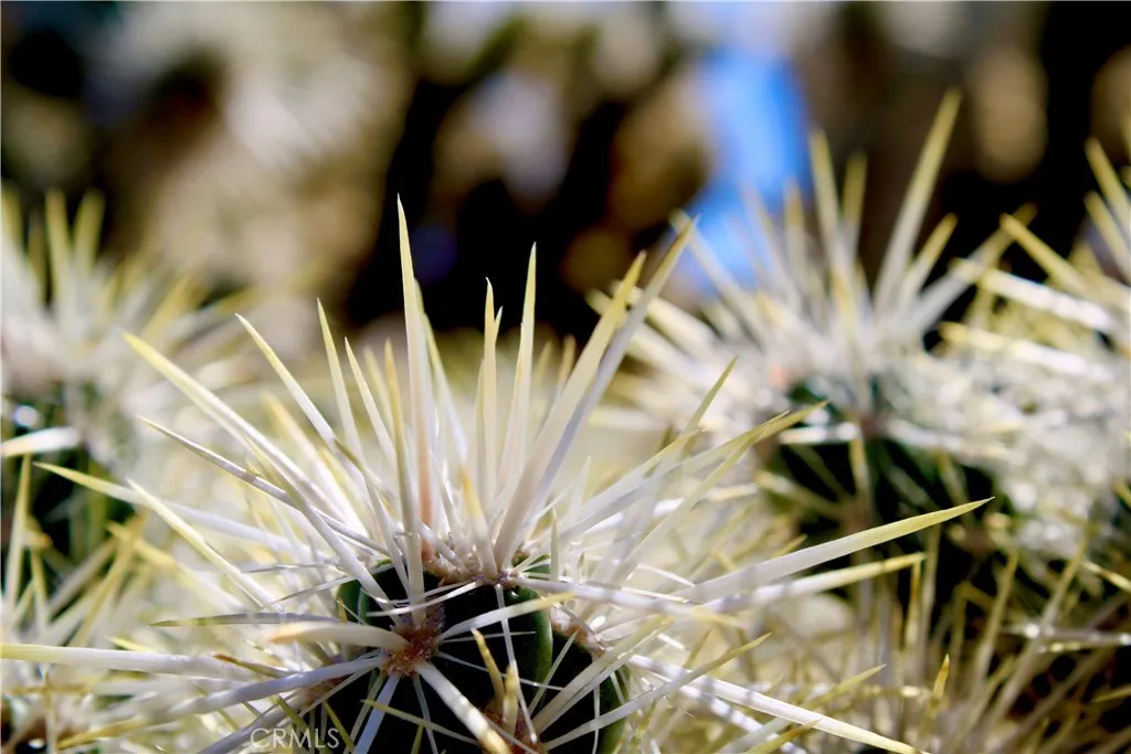 Property image for 61876 Mountain View Circle, Joshua Tree, CA 92252