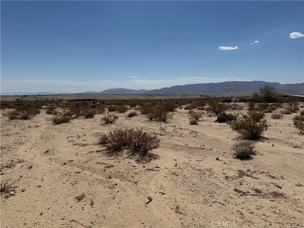 Lynne Lane, 29 Palms, CA 92277 photo 5