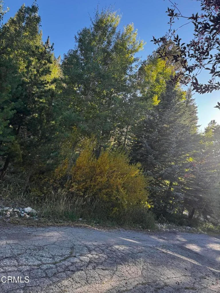 Minaret Road, , CA 93529 photo 4