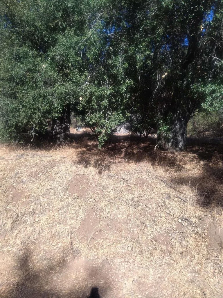 Valley View Trail, Pine Valley, CA 91962 photo 2