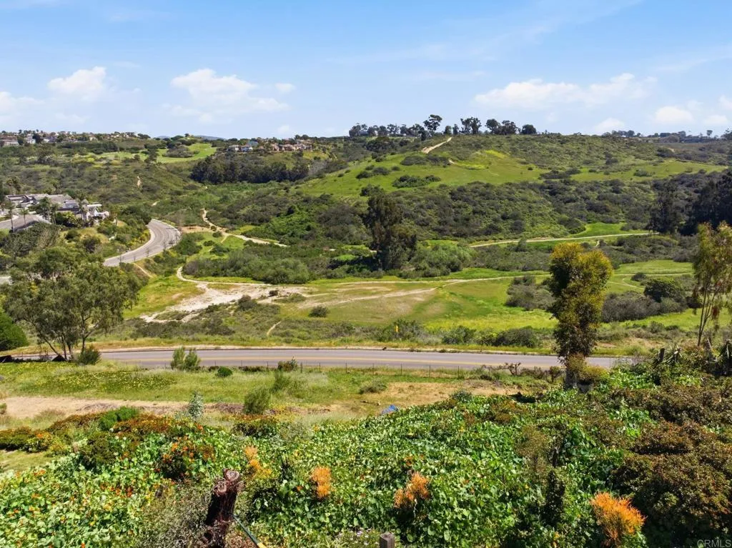 Additional image 90 of 1355 Rainbow Ridge Lane, Encinitas, CA 92024