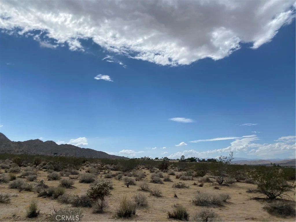 California Avenue, Joshua Tree, CA 92252