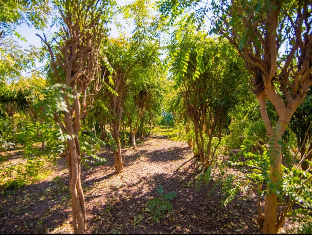 Additional image 16 of 796 S 4th ave, La Puente, CA 91746
