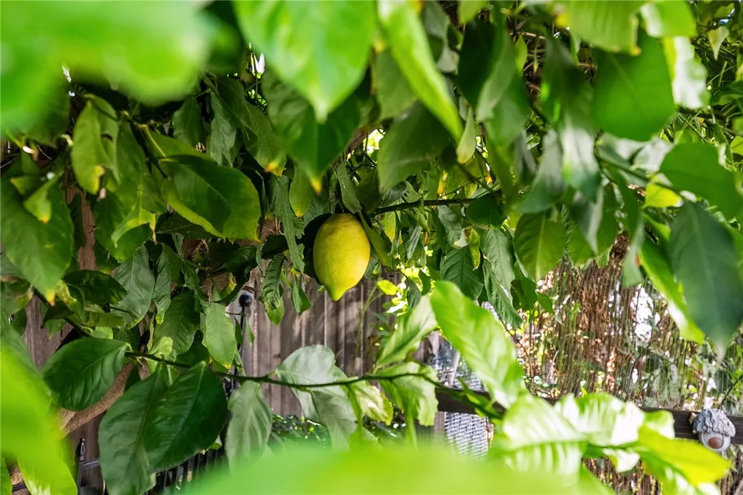 Additional image 82 of 40230 Holden Circle, Temecula, CA 92591