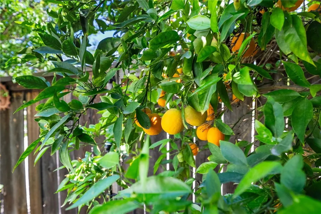 Additional image 41 of 40230 Holden Circle, Temecula, CA 92591