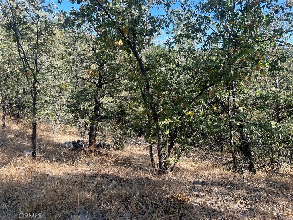 Lone Pine Dr., Arrowbear, CA 92382